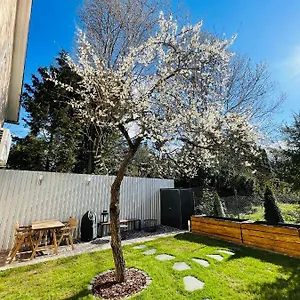 Apartman Nest, Eger